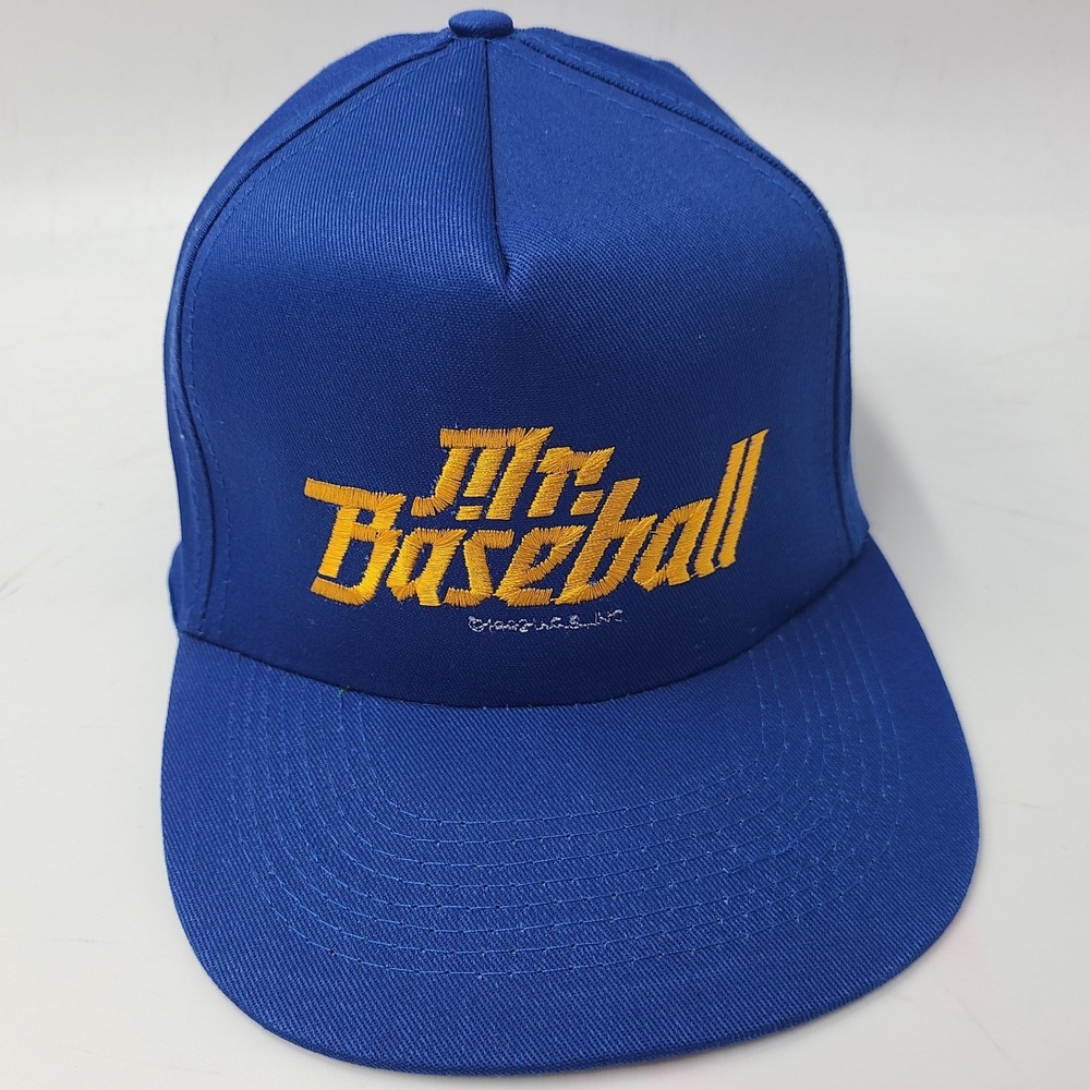 Vintage Mr‎ Baseball Movie Promo Hat Snapback 1992 Comedy Sports Blue Green Brim